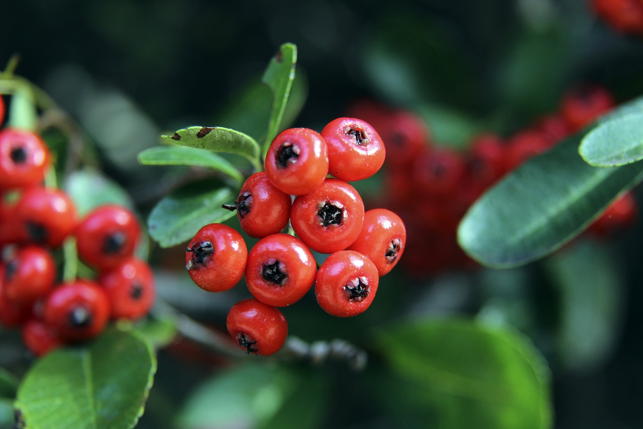 功並非偶然 功並非偶然